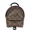 Palm Springs Mini Backpack Monogram Canvas
