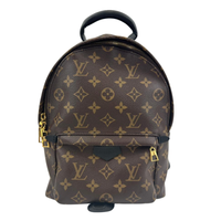 Palm Springs PM Backpack Monogram Canvas (RFID)