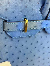 Birkin 30 Ostrich Bleuet GHW - Glampot