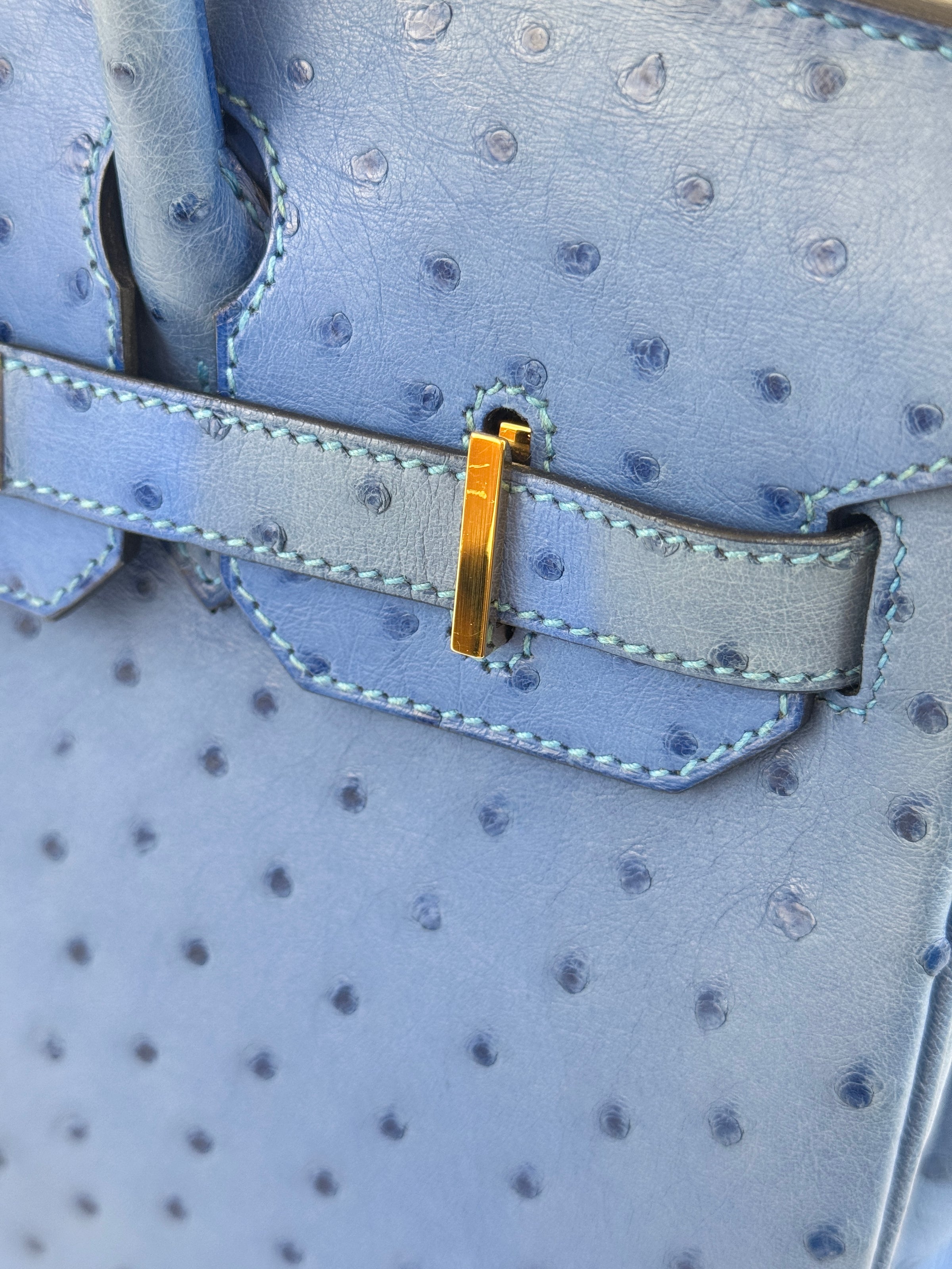 Birkin 30 Ostrich Bleuet GHW - Glampot