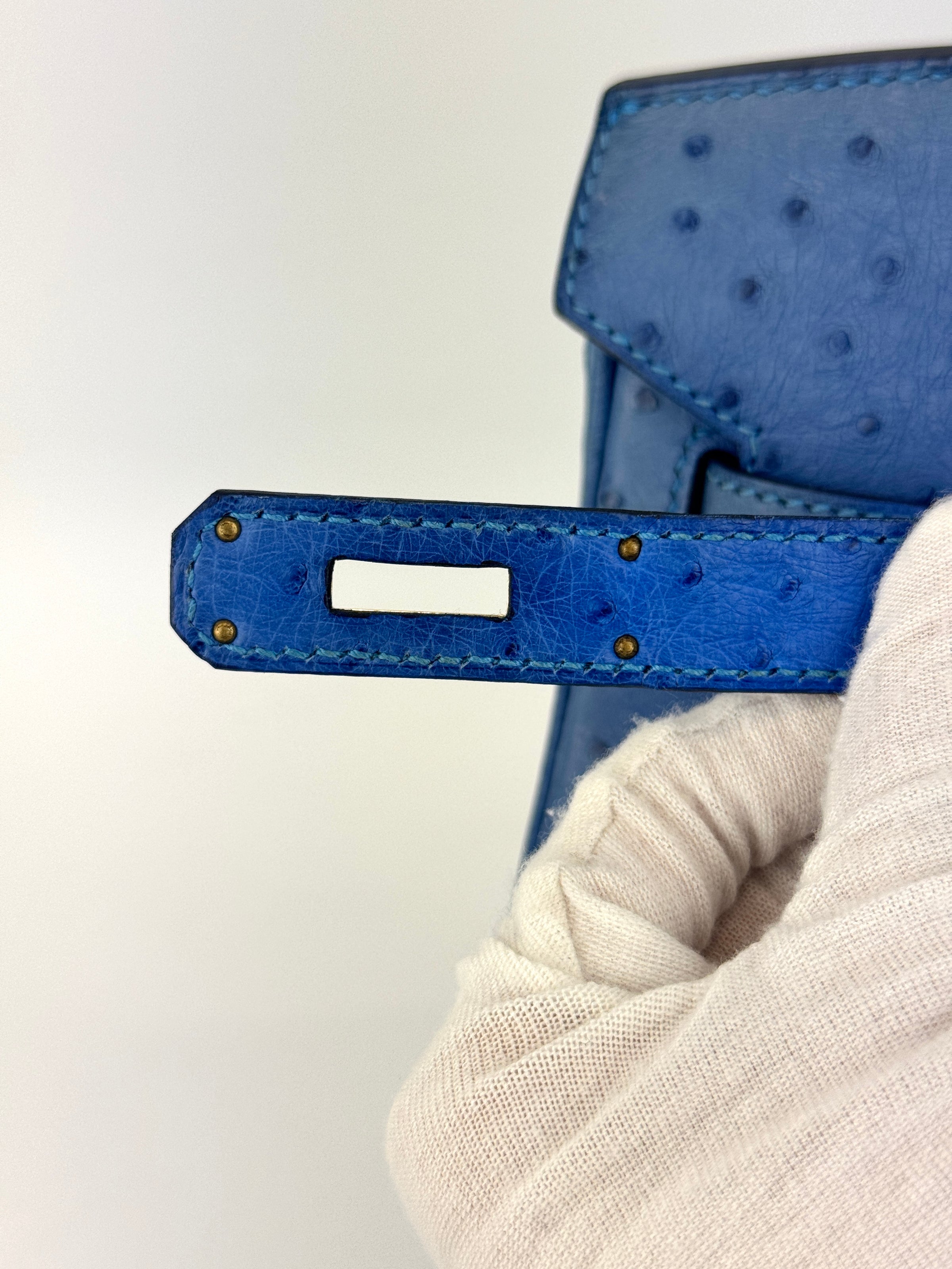 Birkin 30 Ostrich Bleuet GHW - Glampot
