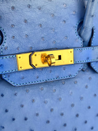Birkin 30 Ostrich Bleuet GHW - Glampot
