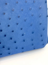 Birkin 30 Ostrich Bleuet GHW - Glampot