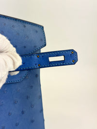 Birkin 30 Ostrich Bleuet GHW - Glampot