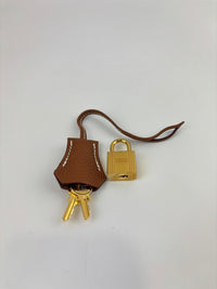 Birkin 25 Gold Togo GHW (Cash Price in Description)