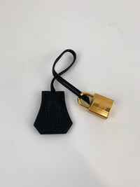 Birkin 25 Black Togo GHW (Cash Price in Description)