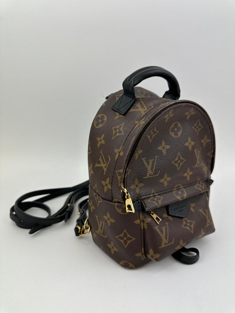 Palm Springs Mini Backpack Monogram Canvas