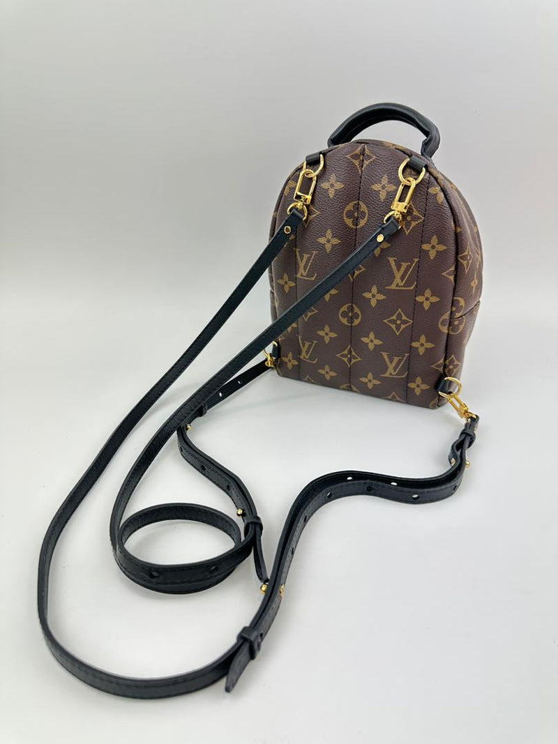 Palm Springs Mini Backpack Monogram Canvas