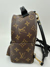 Palm Springs Mini Backpack Monogram Canvas