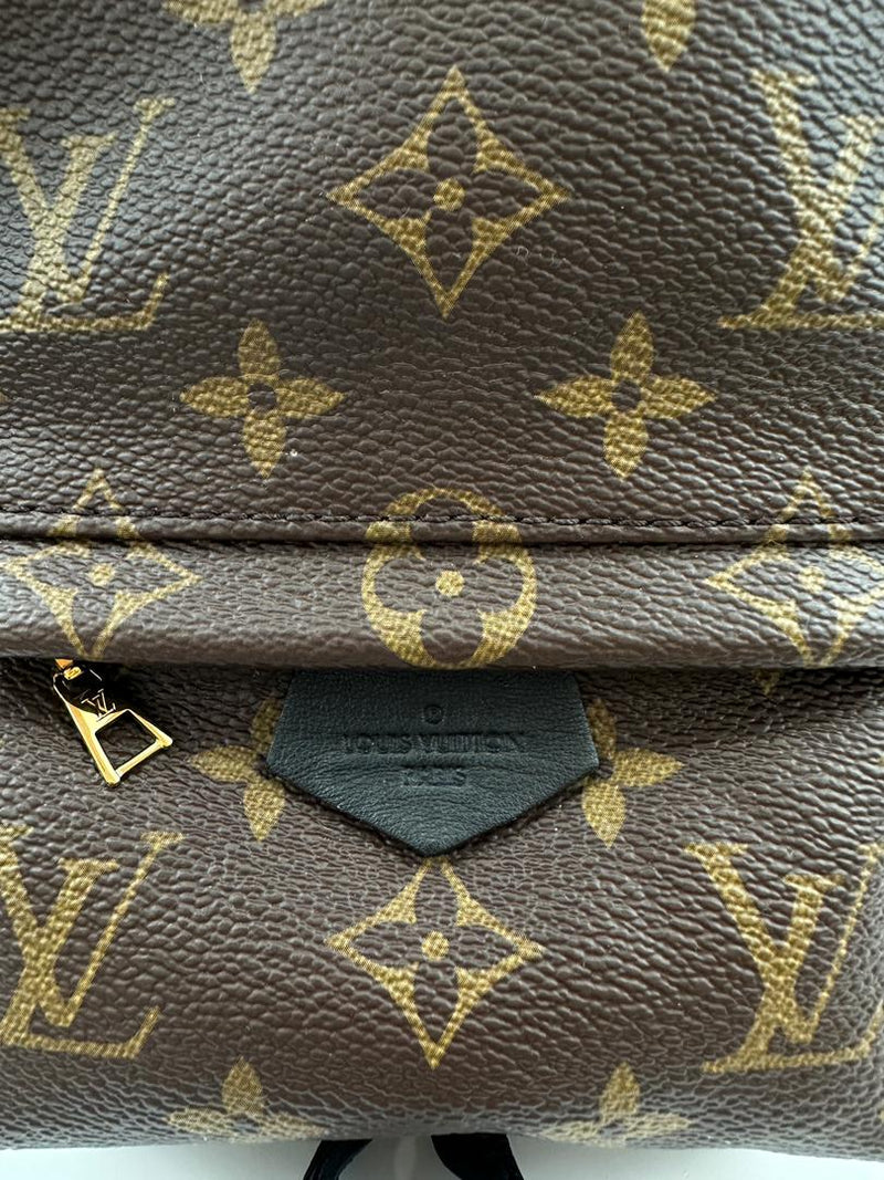 Palm Springs Mini Backpack Monogram Canvas