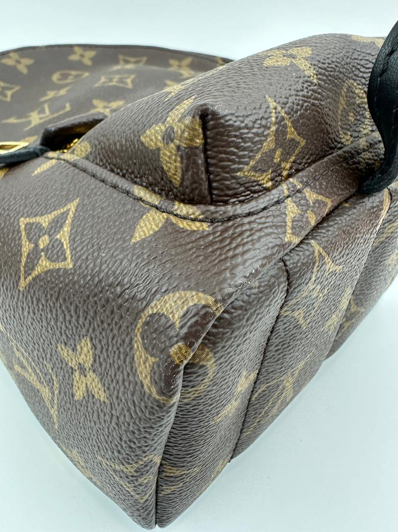 Palm Springs Mini Backpack Monogram Canvas