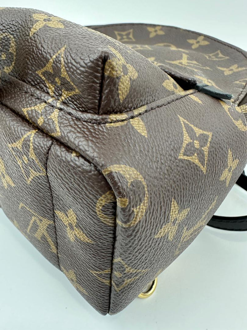 Palm Springs Mini Backpack Monogram Canvas