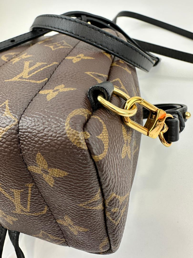 Palm Springs Mini Backpack Monogram Canvas