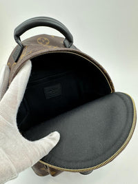 Palm Springs Mini Backpack Monogram Canvas