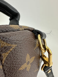 Palm Springs Mini Backpack Monogram Canvas