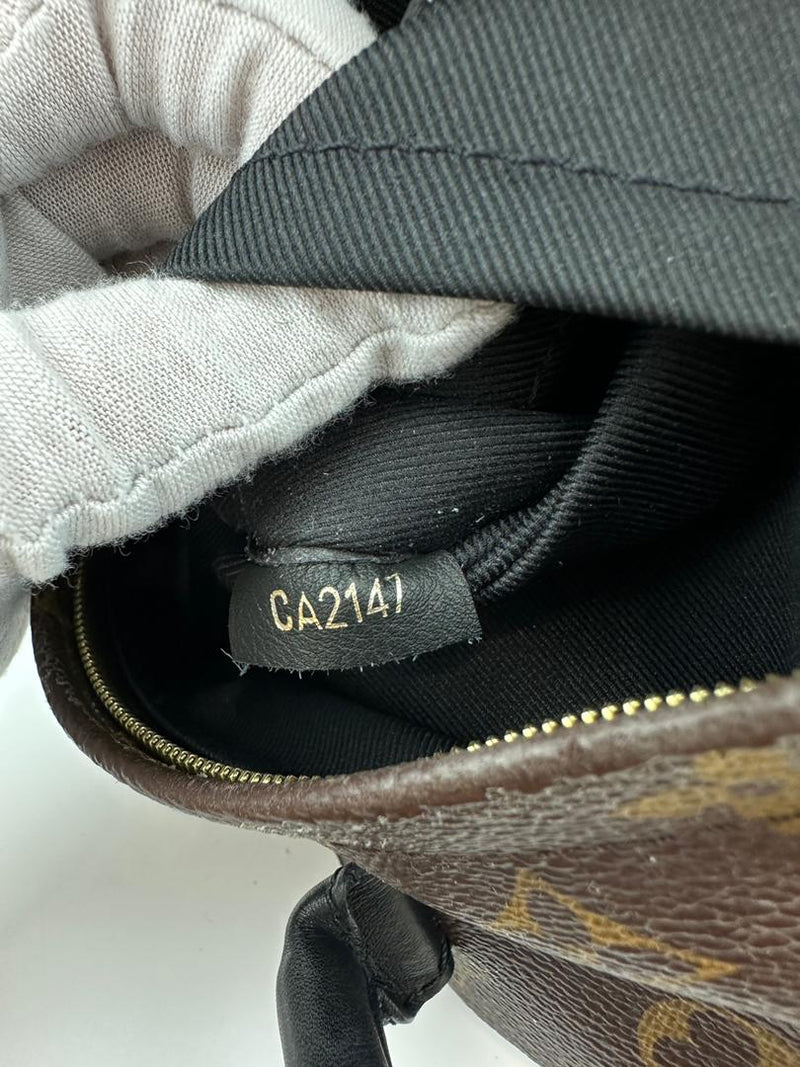 Palm Springs Mini Backpack Monogram Canvas