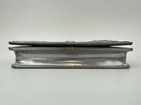 Diorama Metallic Silver Micro Cannage Diorama Wallet on Chain