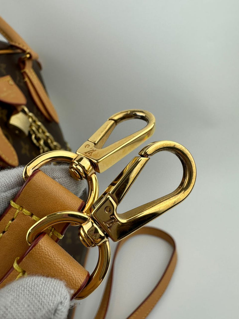 Monogram Canvas Carryall MM NM Bag