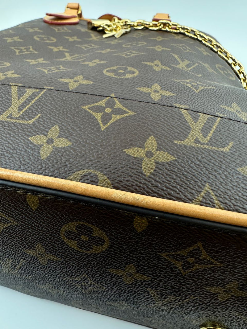 Monogram Canvas Carryall MM NM Bag