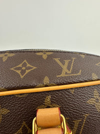 Monogram Canvas Carryall MM NM Bag