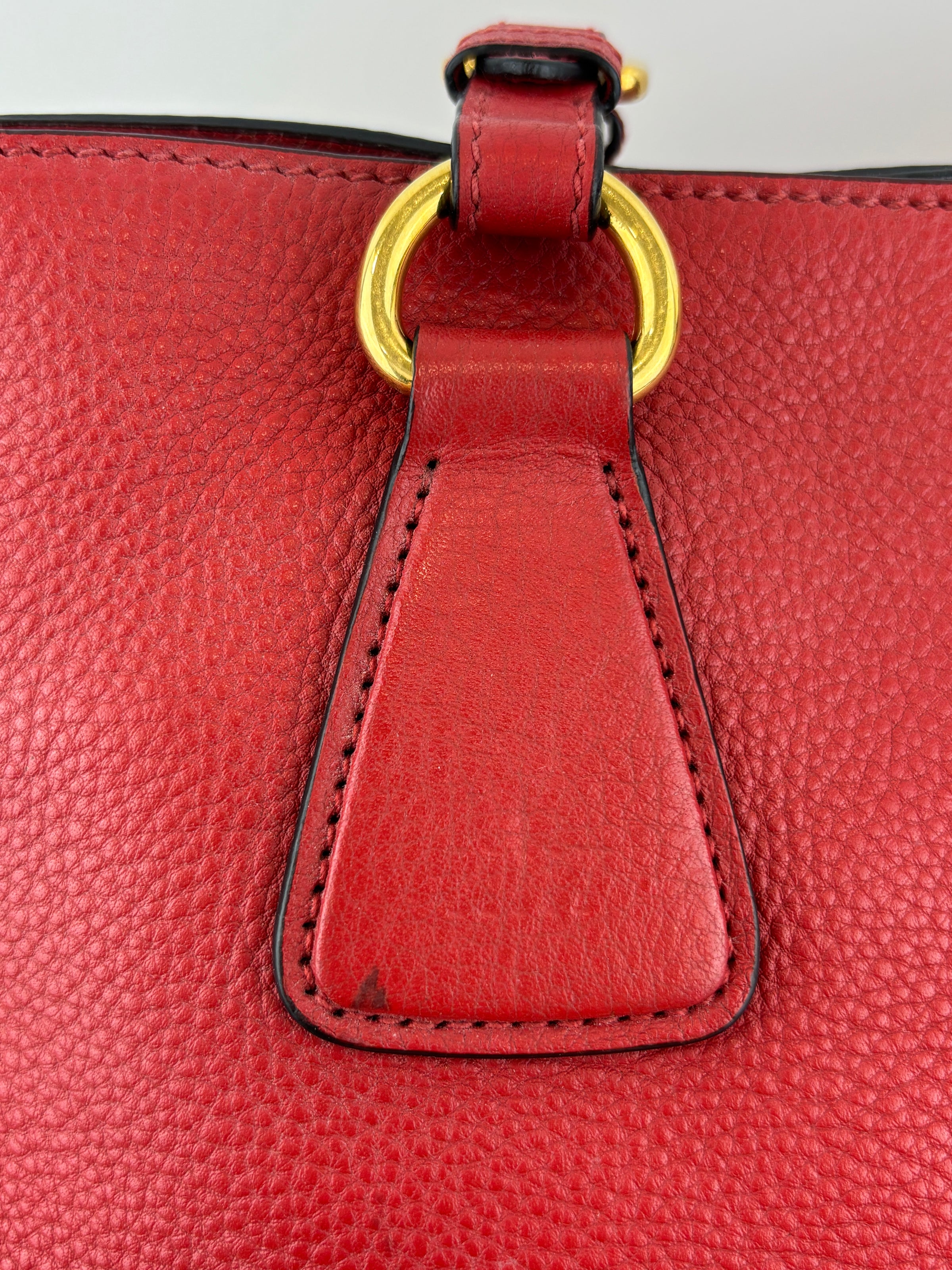 Vitello Phenix Medium Shopping Tote in Red