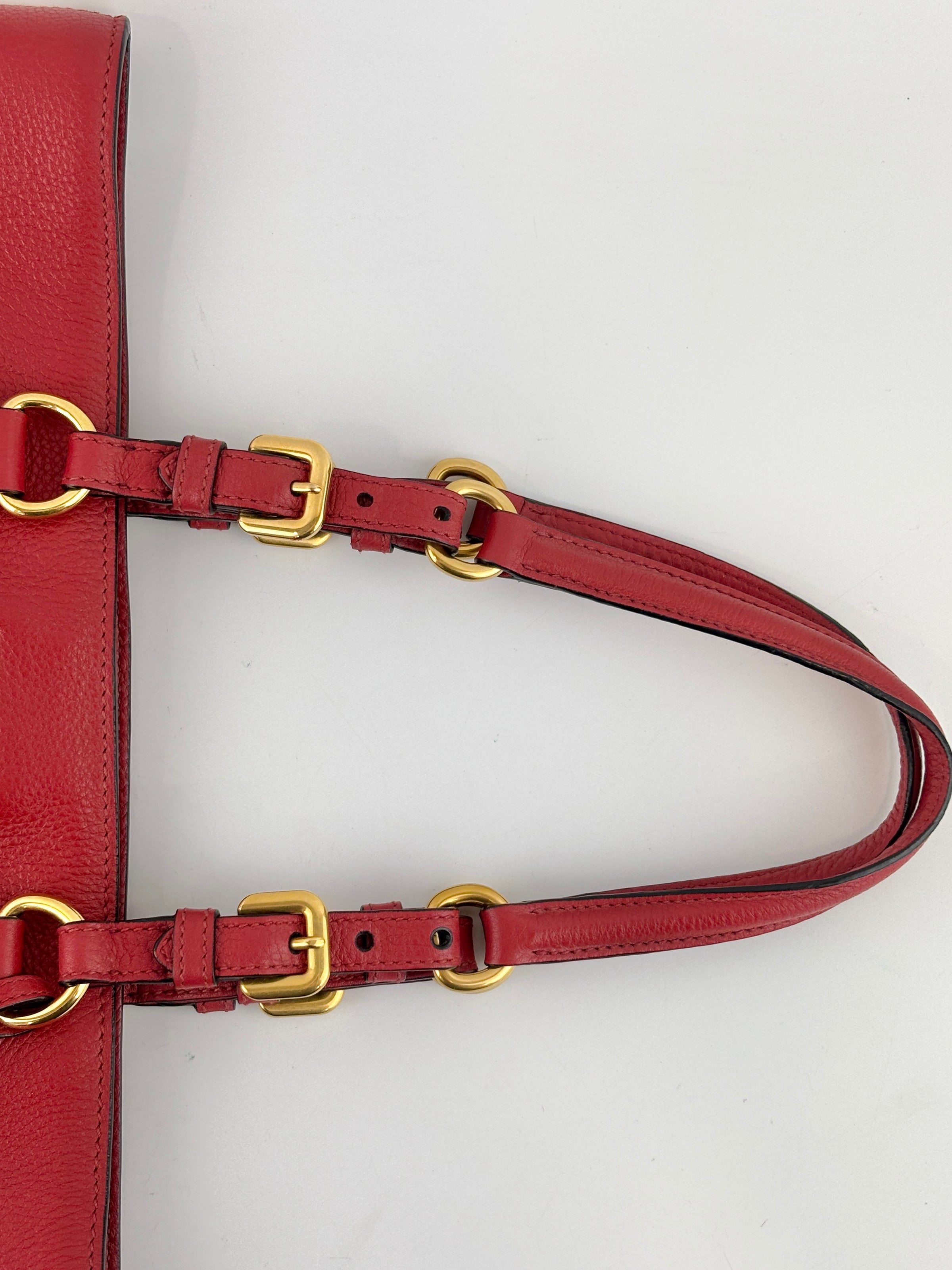 Vitello Phenix Medium Shopping Tote in Red