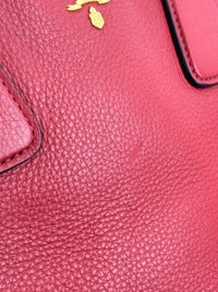 Vitello Phenix Medium Shopping Tote in Red