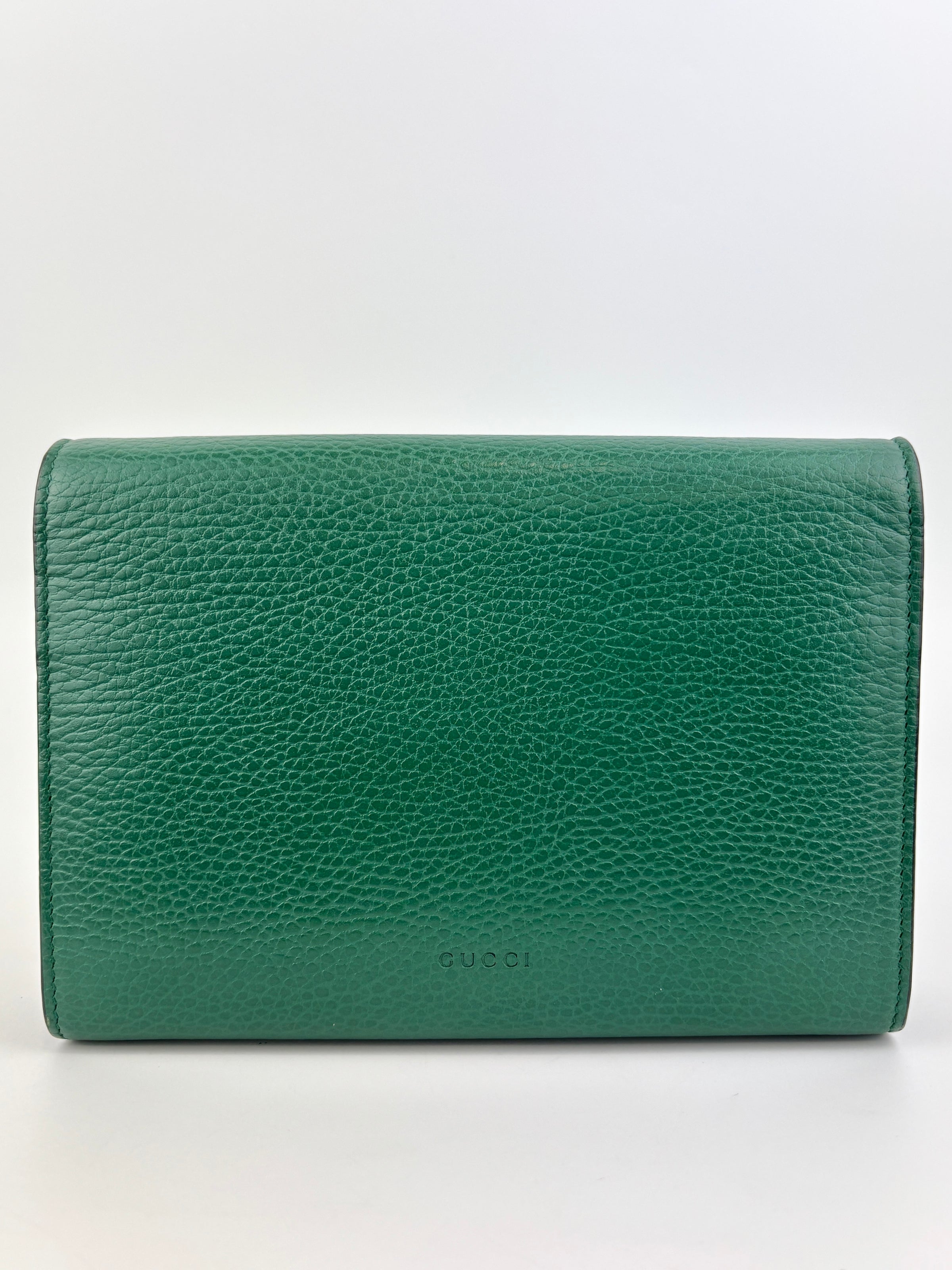 Dionysus Chain Wallet WOC in Green 401231 2149