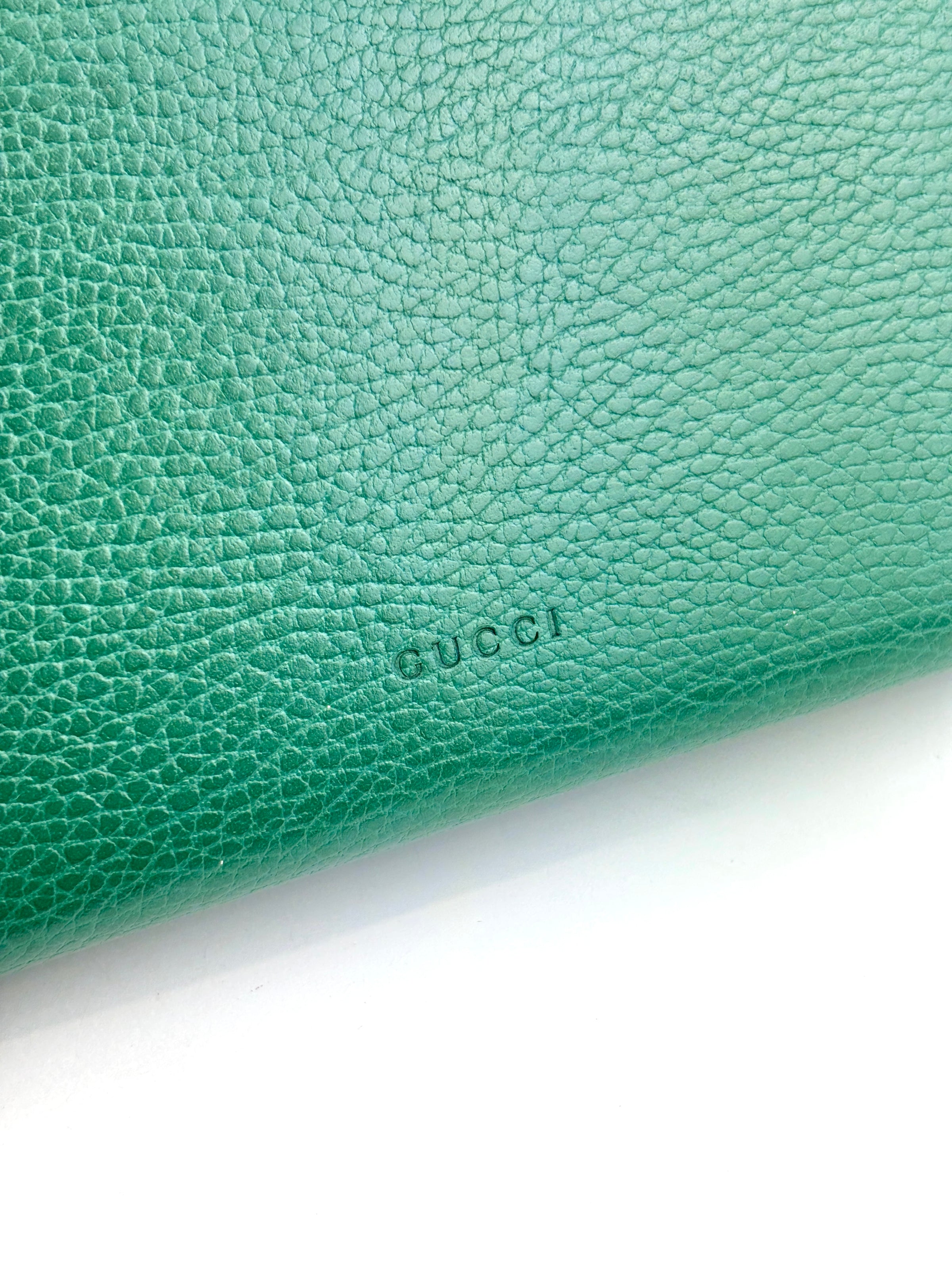 Dionysus Chain Wallet WOC in Green 401231 2149
