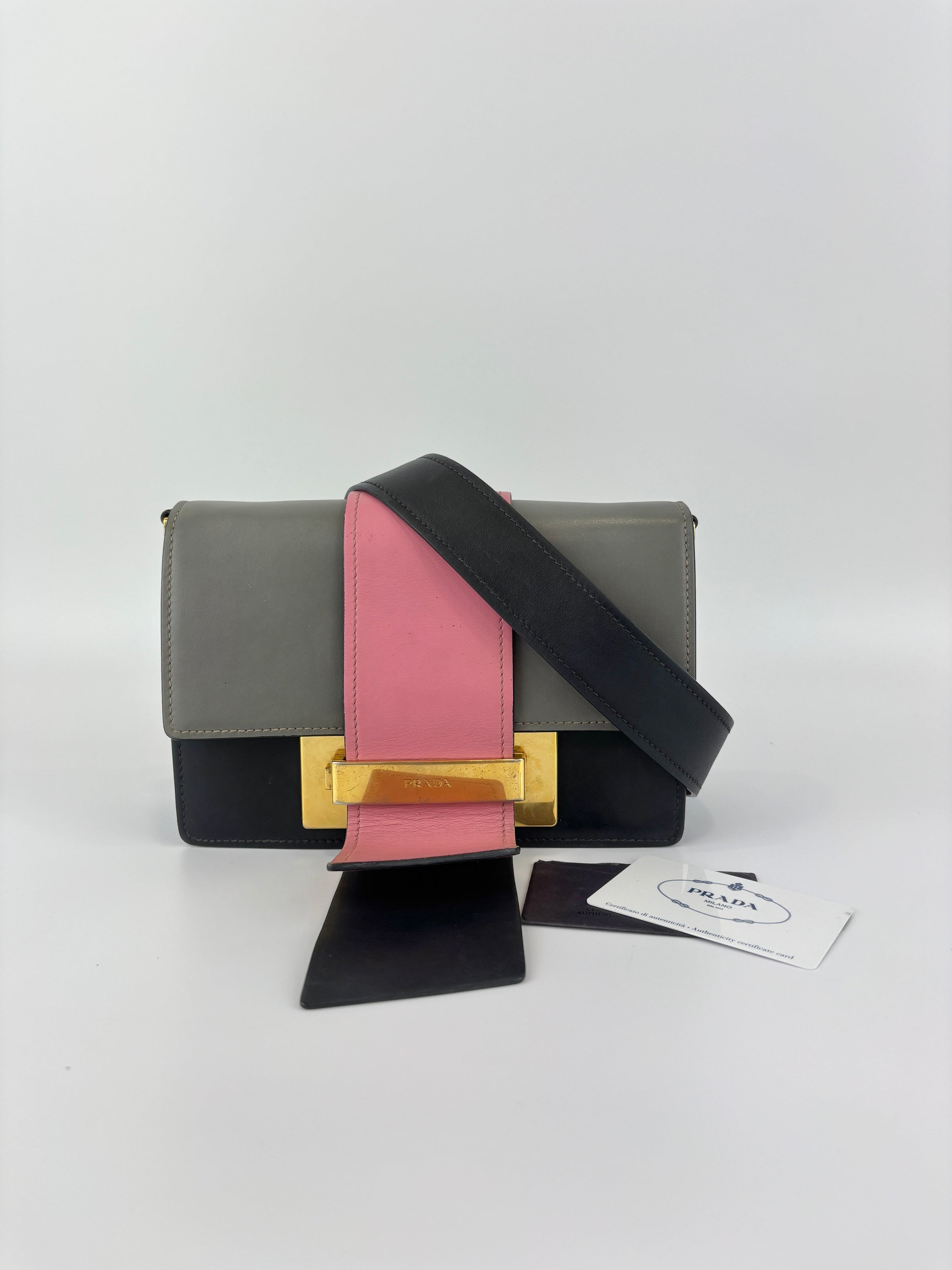 1BD068 Ribbon Bag in City Calf Marmo and Begonia