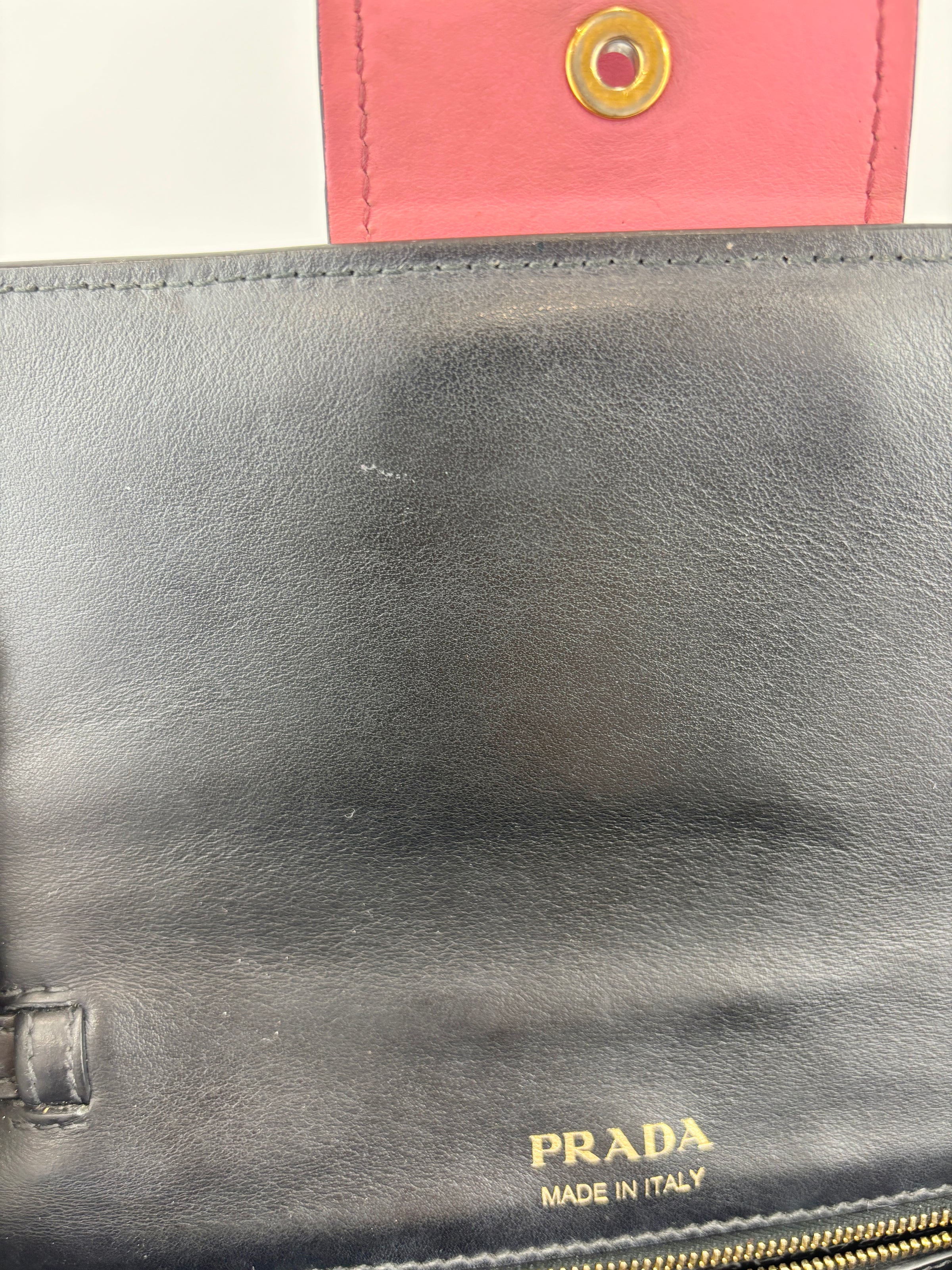 1BD068 Ribbon Bag in City Calf Marmo and Begonia