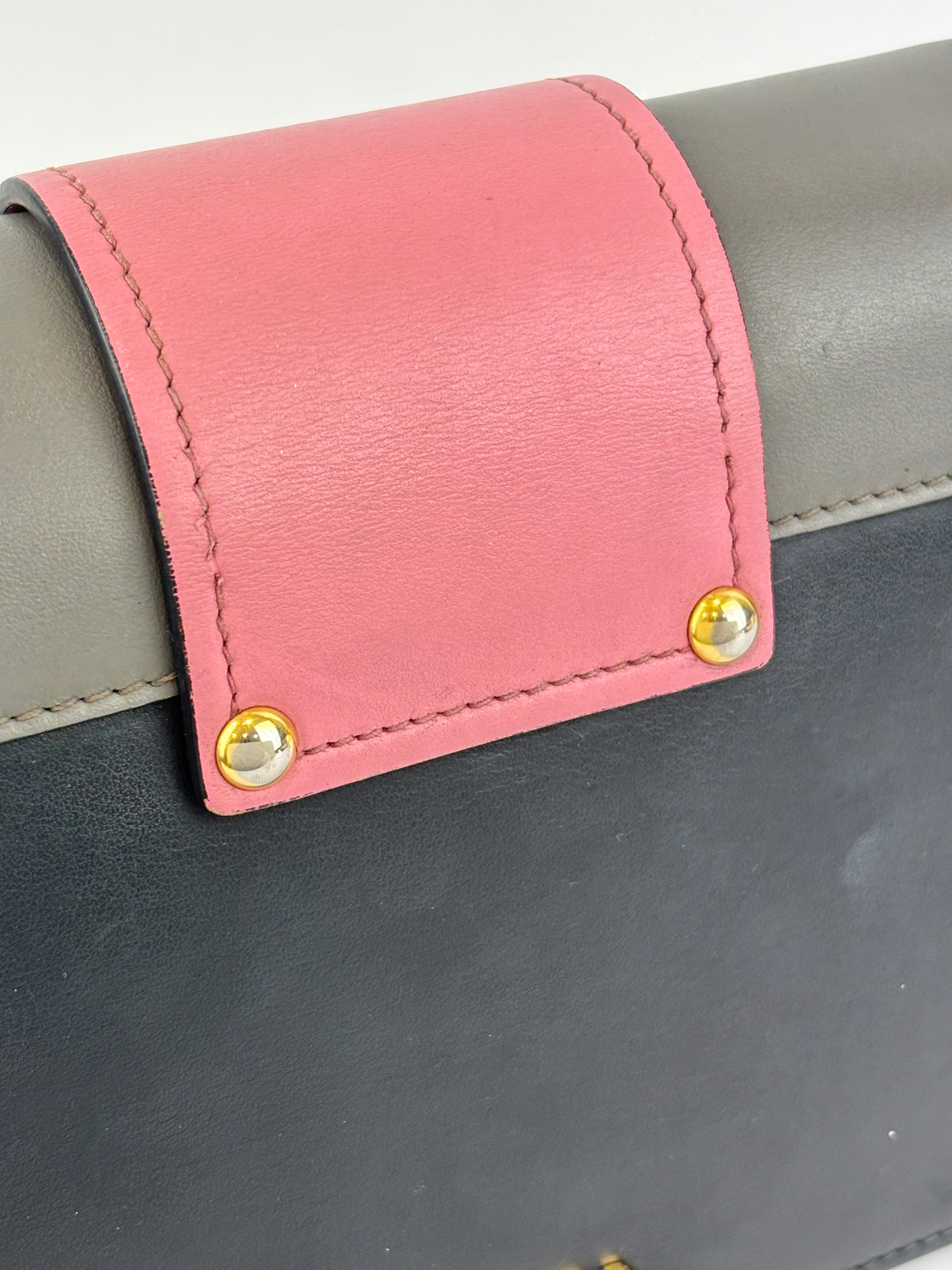 1BD068 Ribbon Bag in City Calf Marmo and Begonia