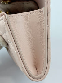 My Dior Glycine Wallet in Powder Pink Cannage Lambskin