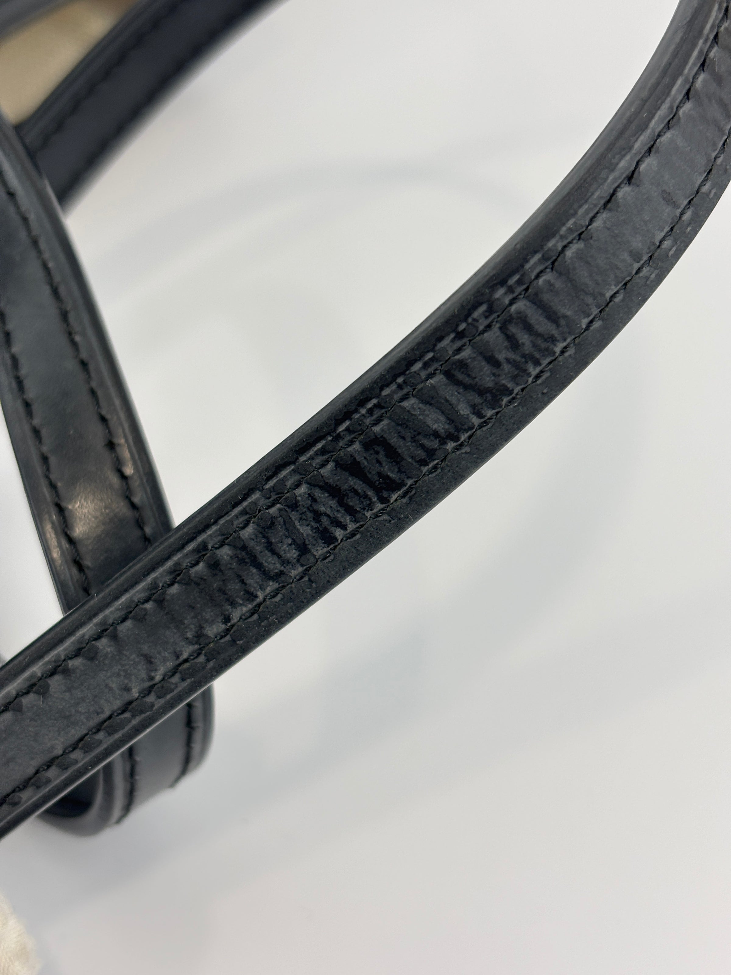 1920 Oh! Tote Ruban PM in Carbon Silver