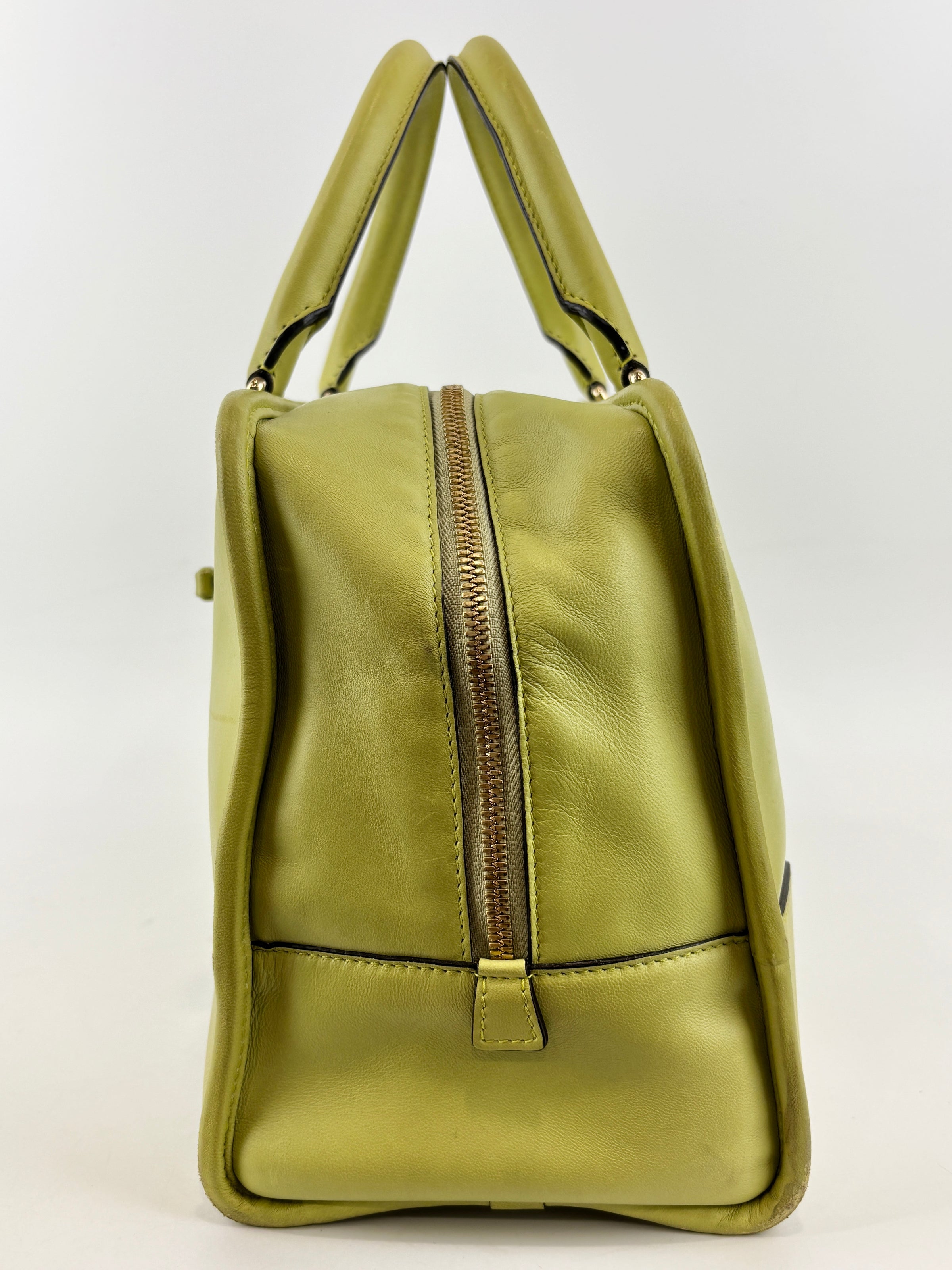 Amazona 36 in Olive Green Lambskin Leather