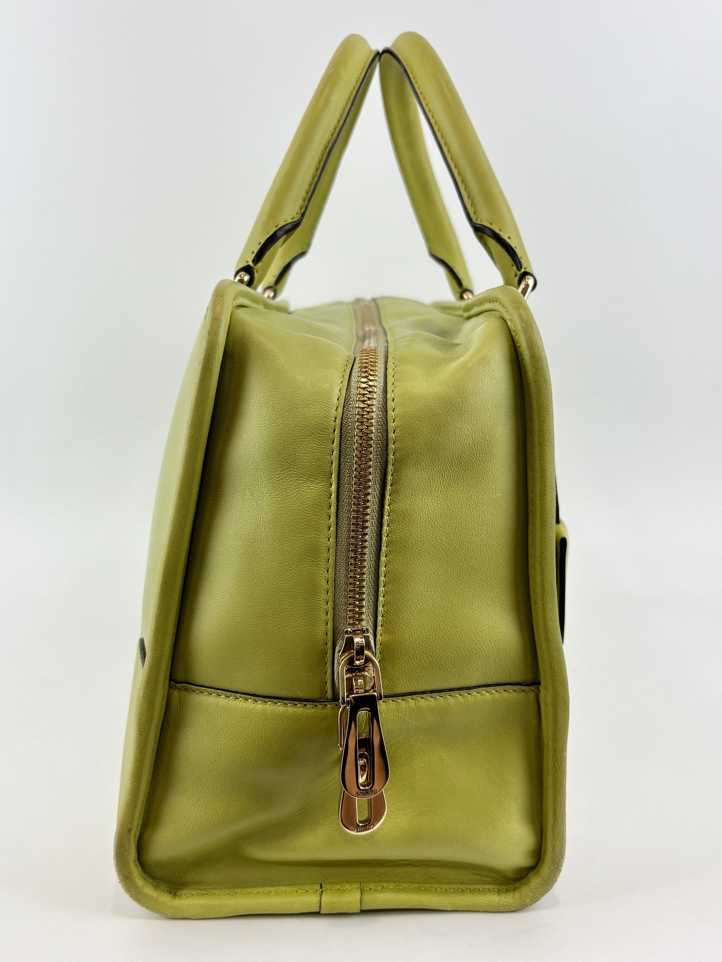 Amazona 36 in Olive Green Lambskin Leather