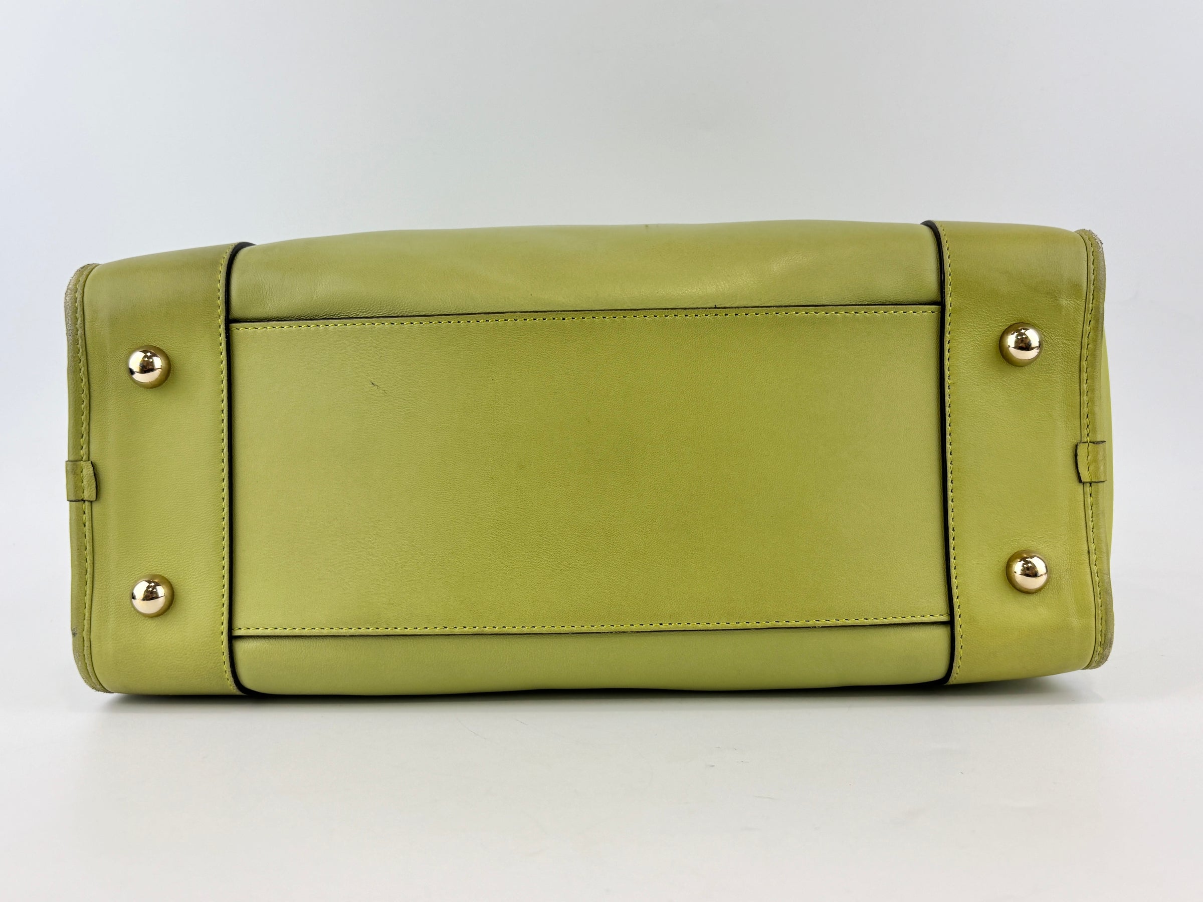 Amazona 36 in Olive Green Lambskin Leather