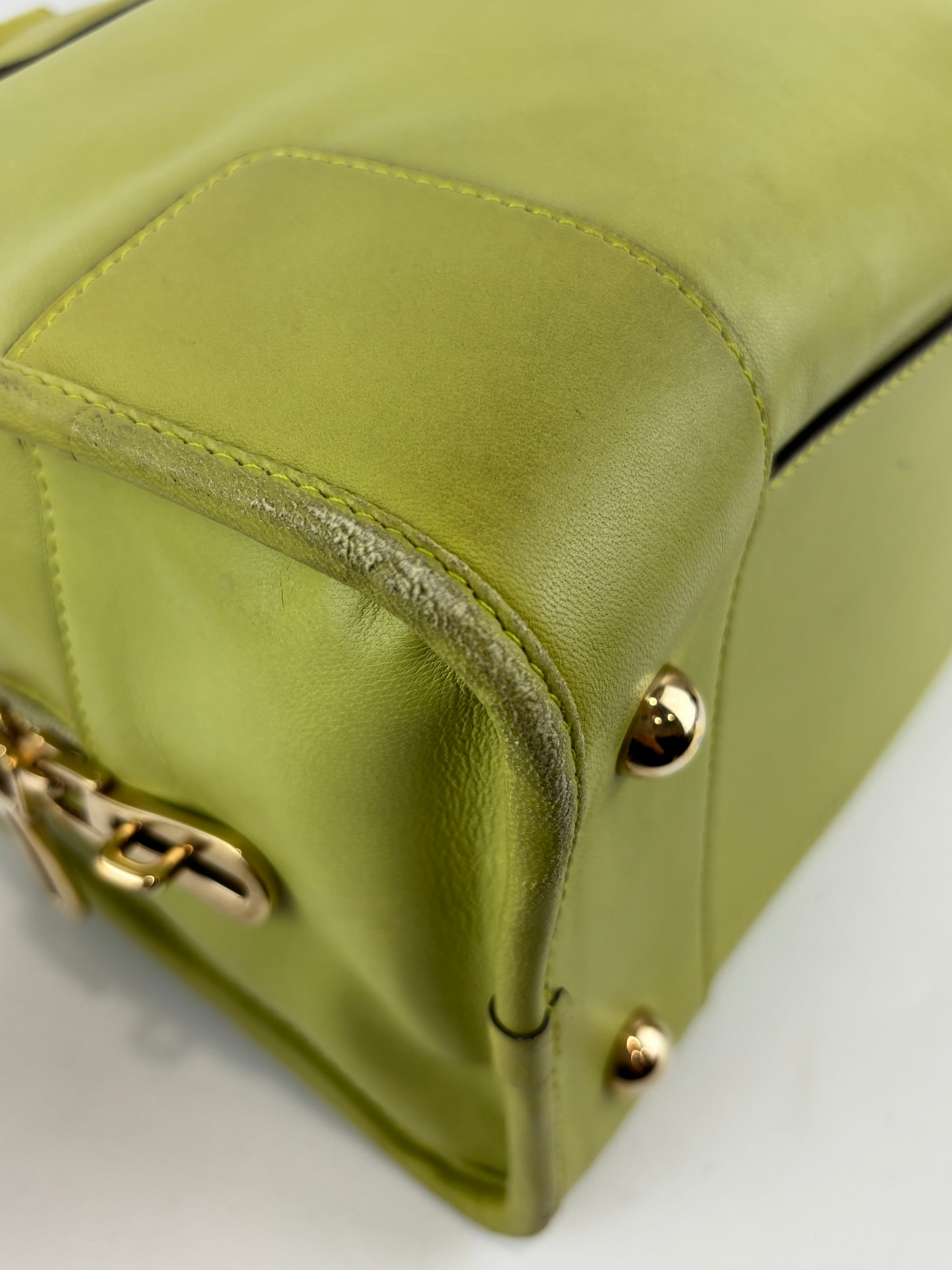 Amazona 36 in Olive Green Lambskin Leather