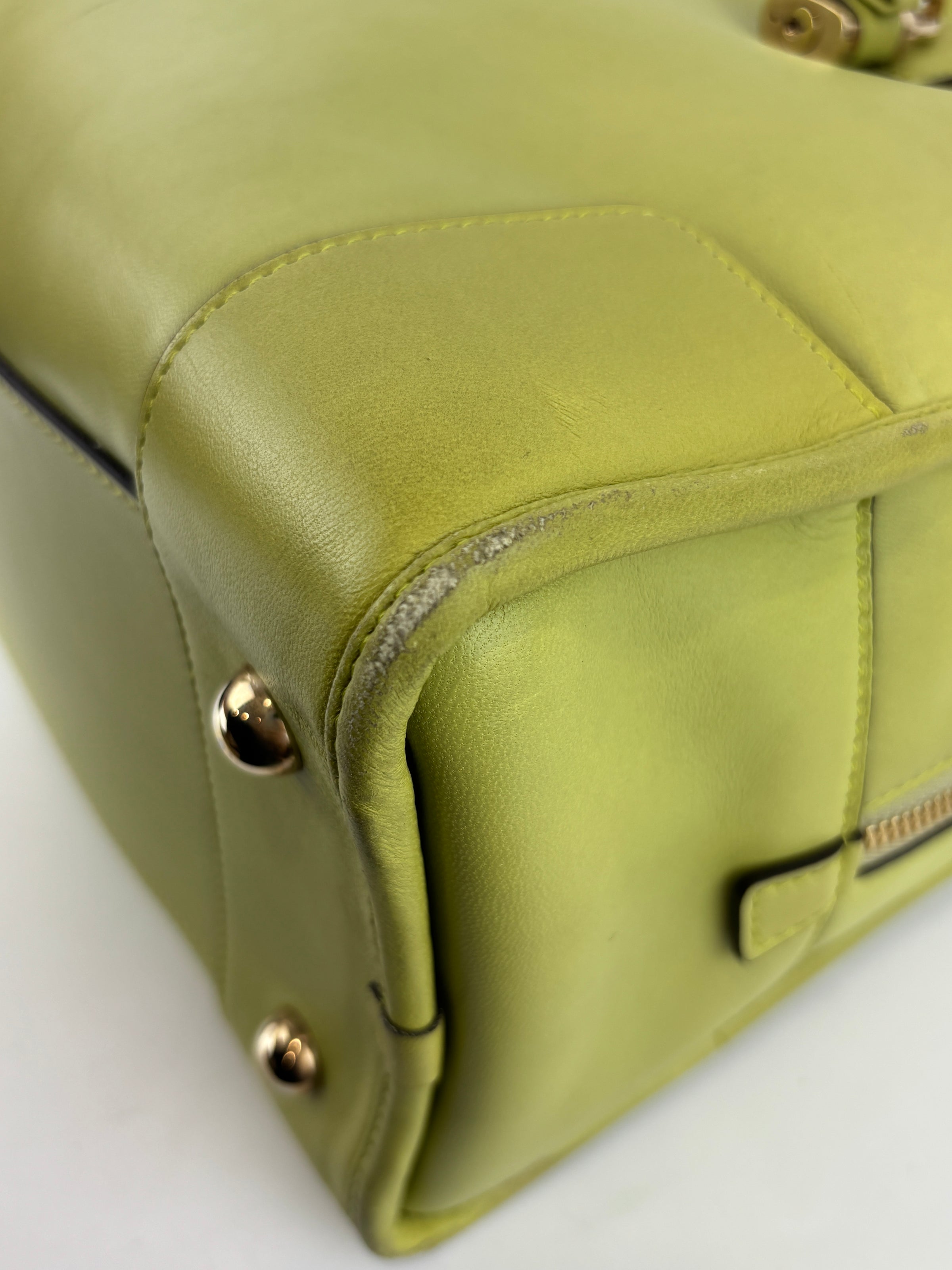 Amazona 36 in Olive Green Lambskin Leather