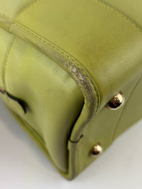 Amazona 36 in Olive Green Lambskin Leather