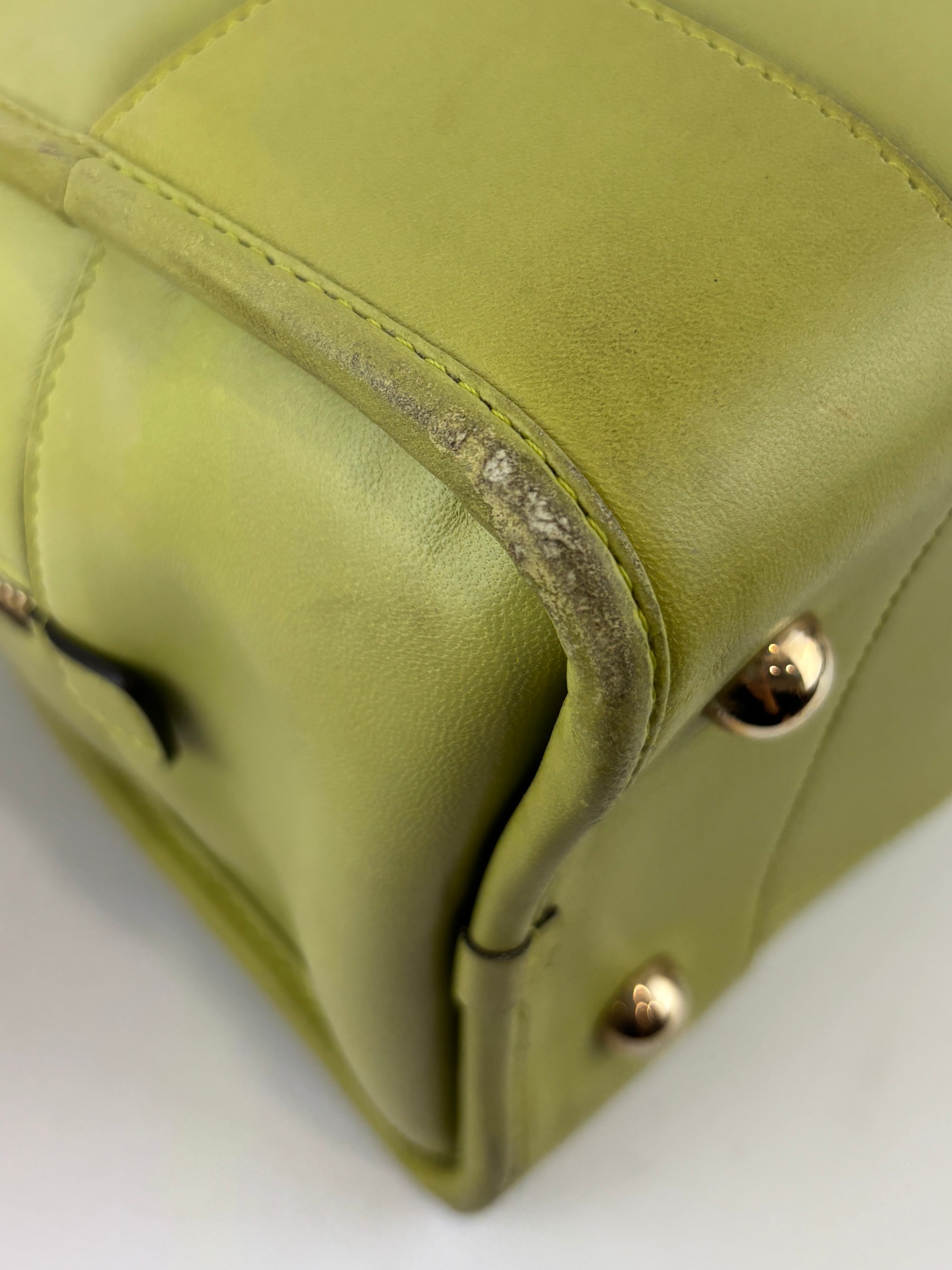 Amazona 36 in Olive Green Lambskin Leather
