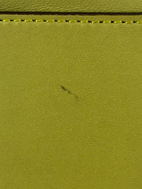 Amazona 36 in Olive Green Lambskin Leather