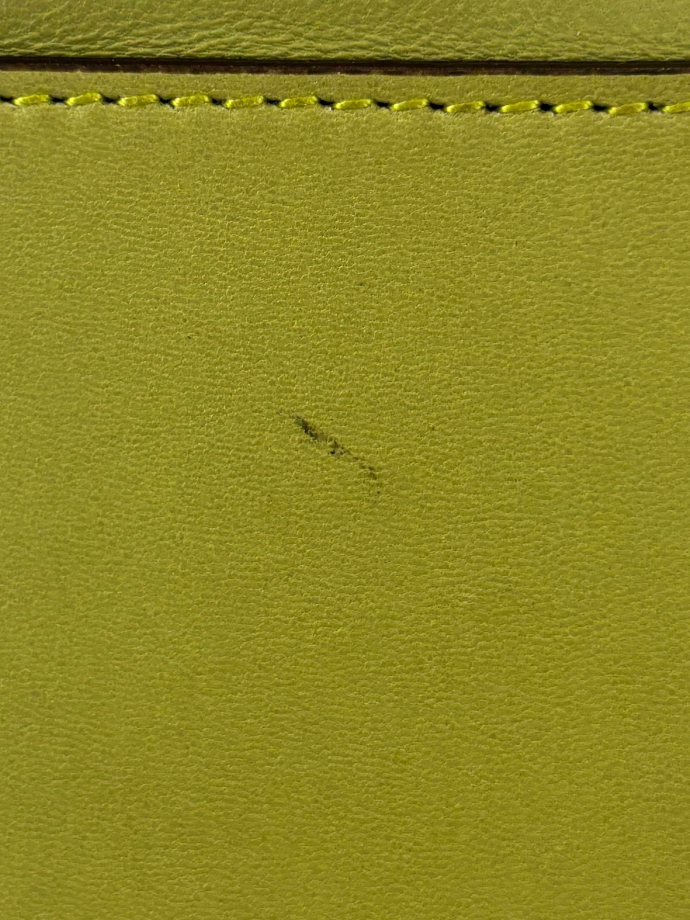 Amazona 36 in Olive Green Lambskin Leather