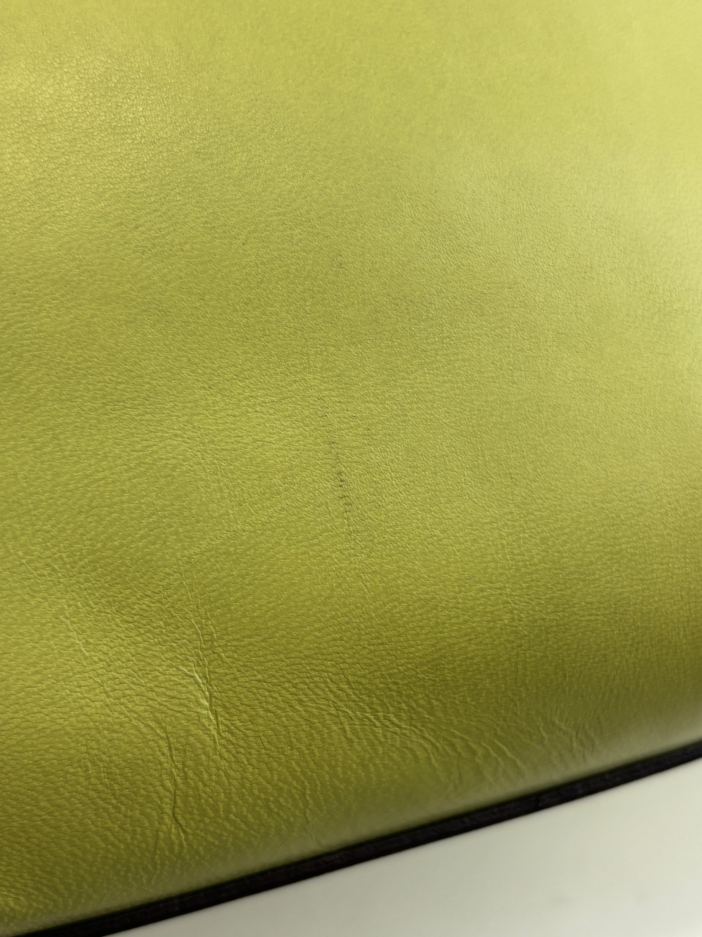 Amazona 36 in Olive Green Lambskin Leather