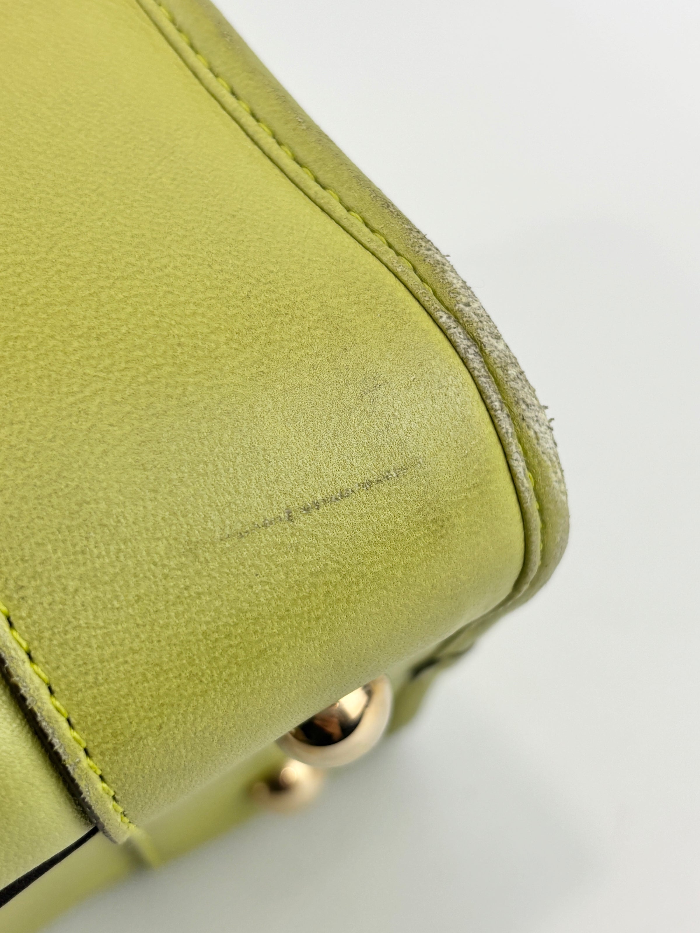 Amazona 36 in Olive Green Lambskin Leather
