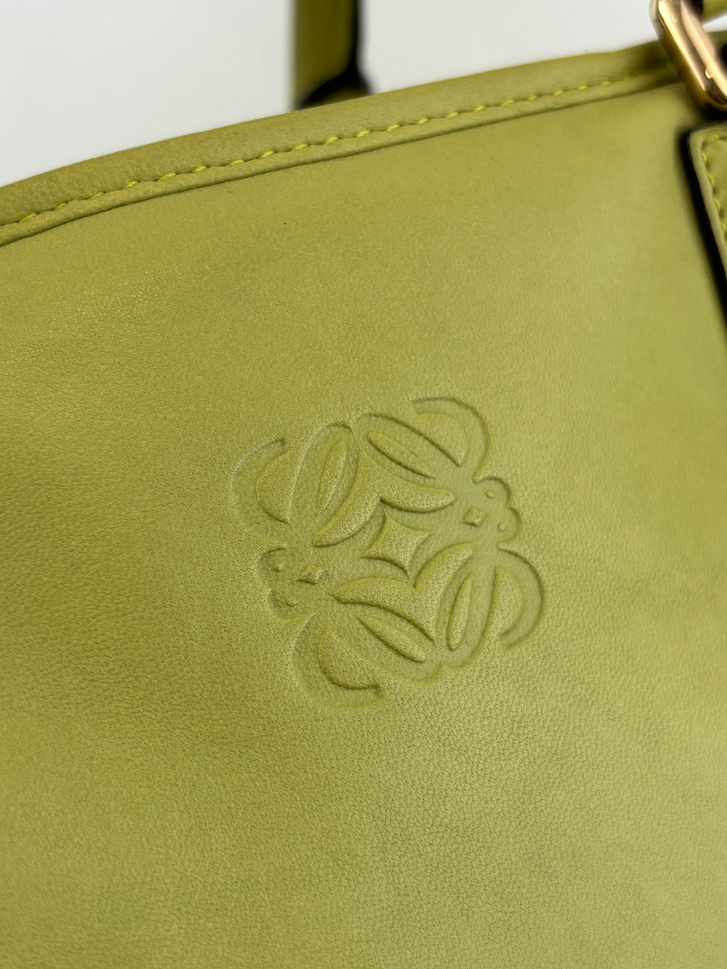 Amazona 36 in Olive Green Lambskin Leather