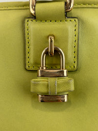 Amazona 36 in Olive Green Lambskin Leather