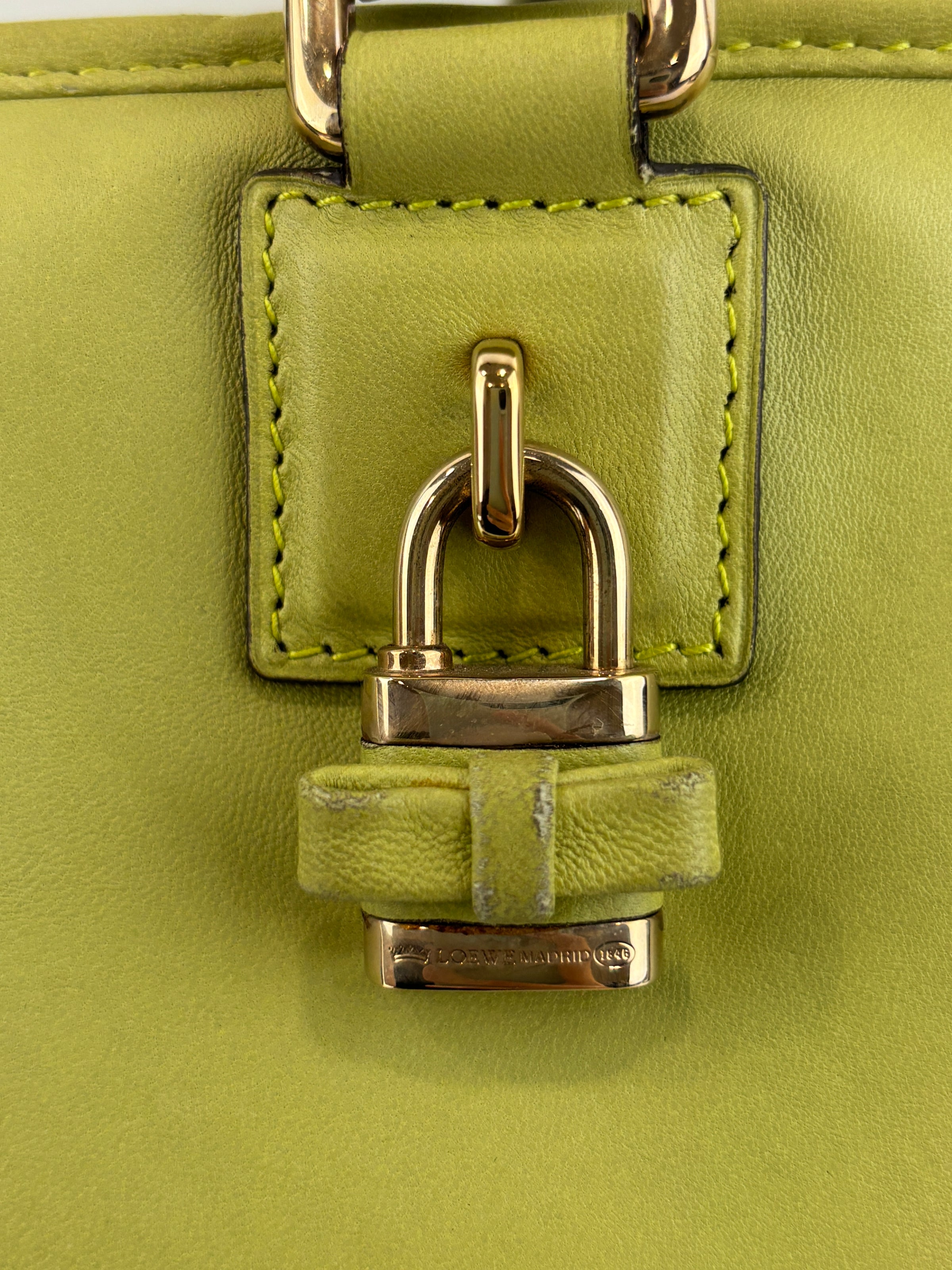 Amazona 36 in Olive Green Lambskin Leather