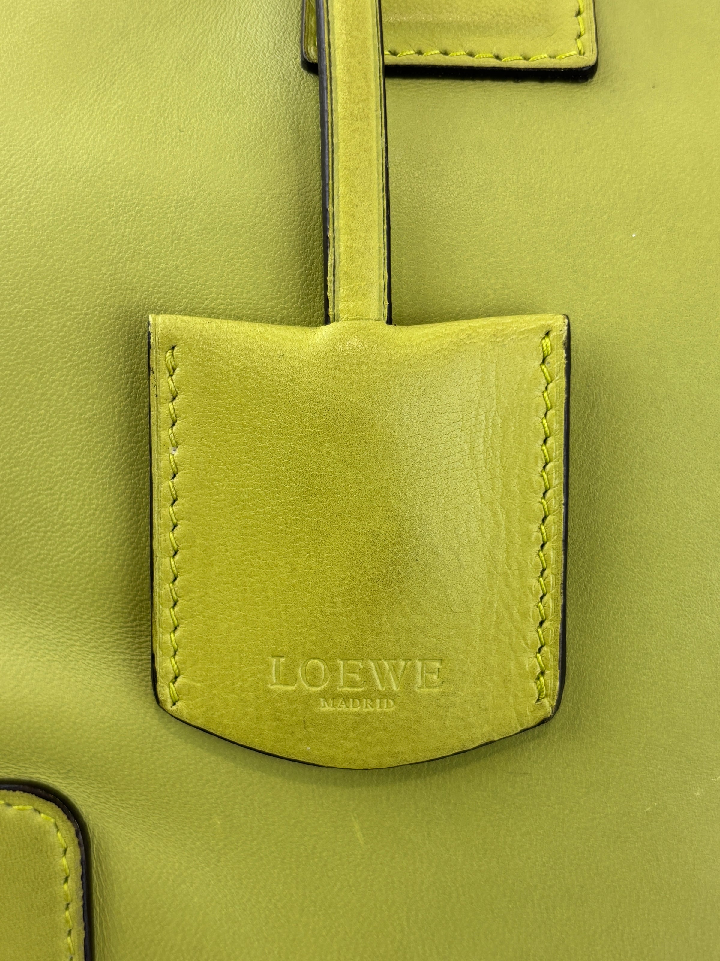 Amazona 36 in Olive Green Lambskin Leather