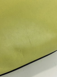 Amazona 36 in Olive Green Lambskin Leather